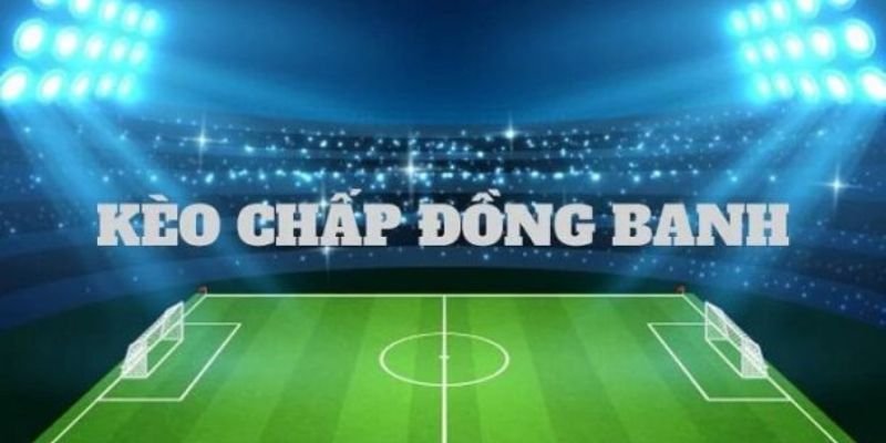 Hình ảnh người đặt cược qua điện thoại trên giao diện Go88.